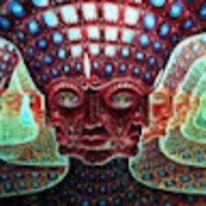 Meet your Posher, Kiersten